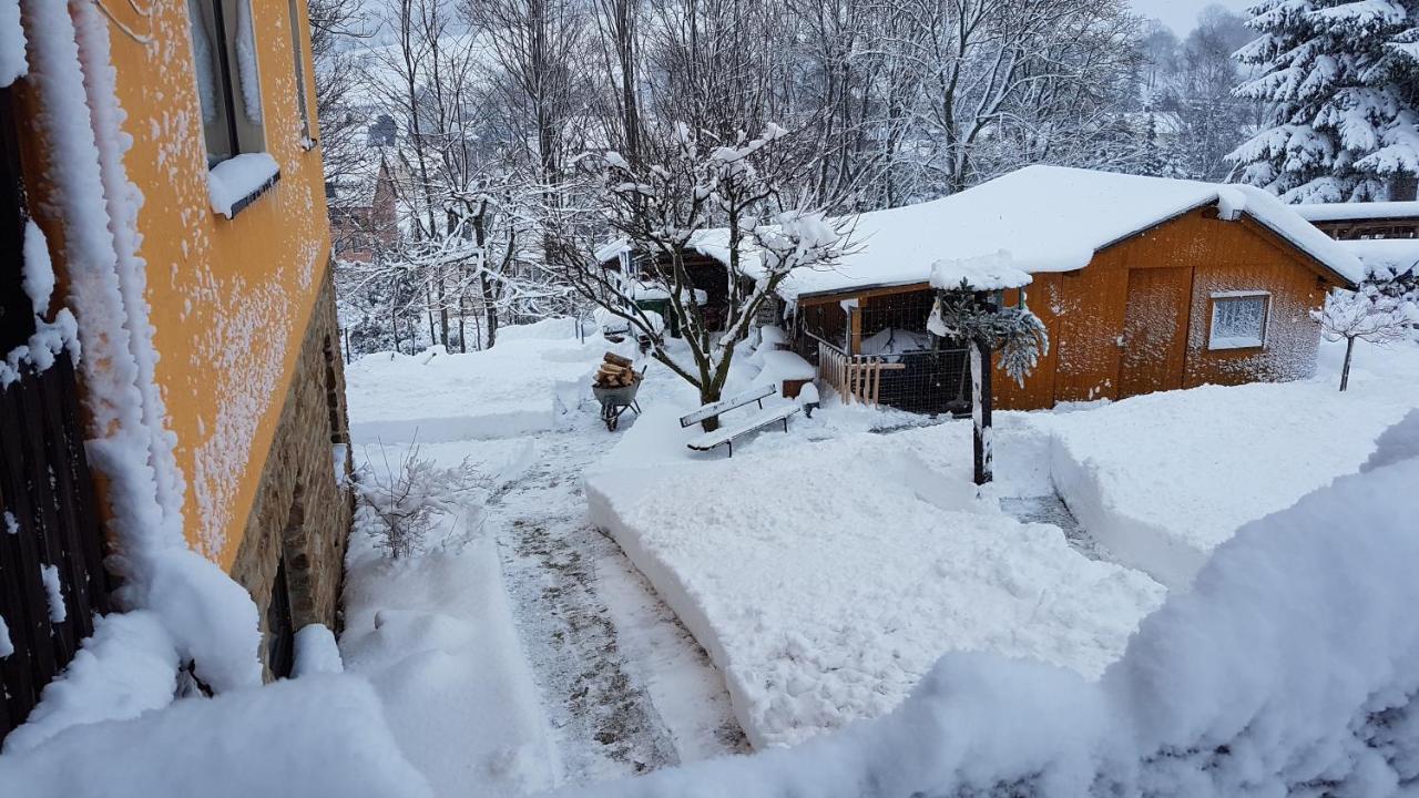 Waldhufenidyll Koenigswalde Im Erzgebirge Apartamento Konigswalde Exterior foto