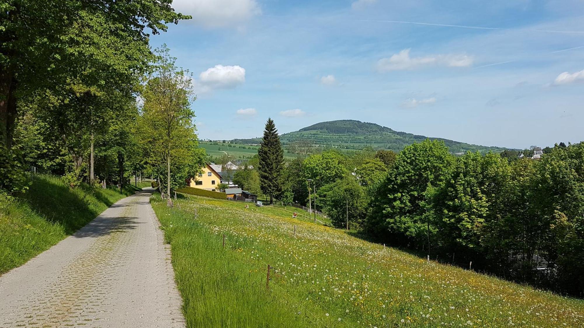 Waldhufenidyll Koenigswalde Im Erzgebirge Apartamento Konigswalde Exterior foto